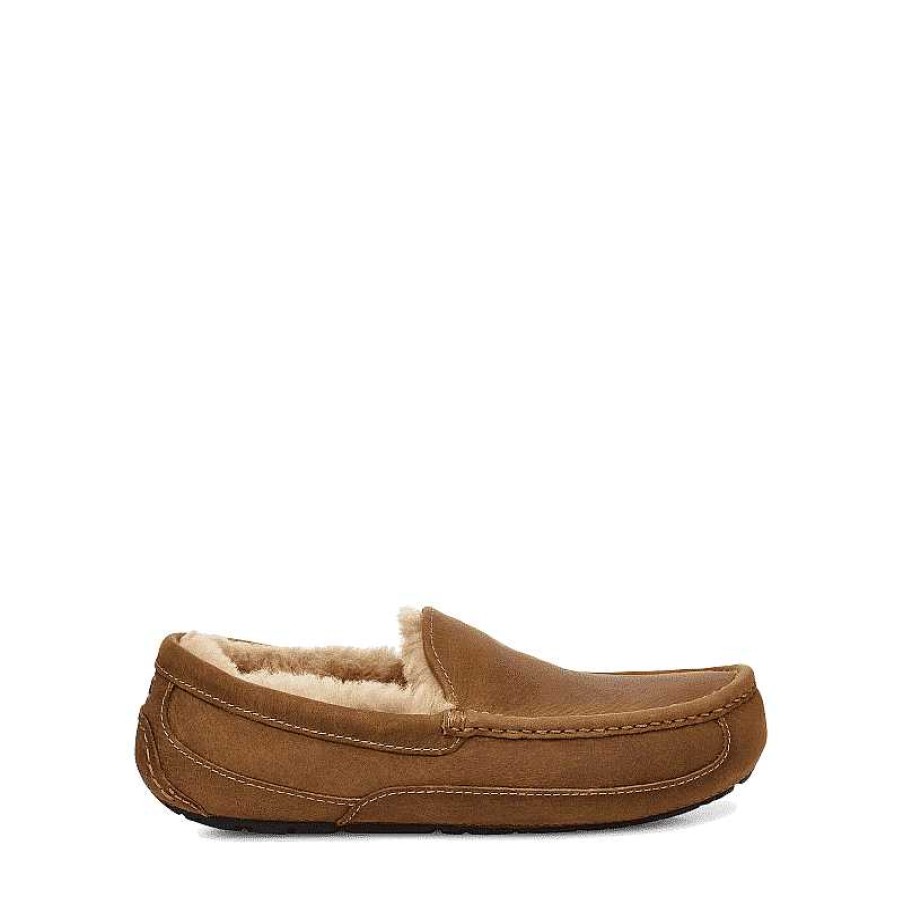 Men UGG | Men'S Ugg Ascot Slipper - Tan