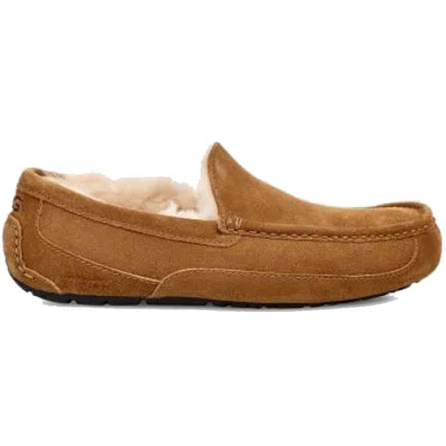 Men UGG | Men'S Ugg Ascot - Chestnut